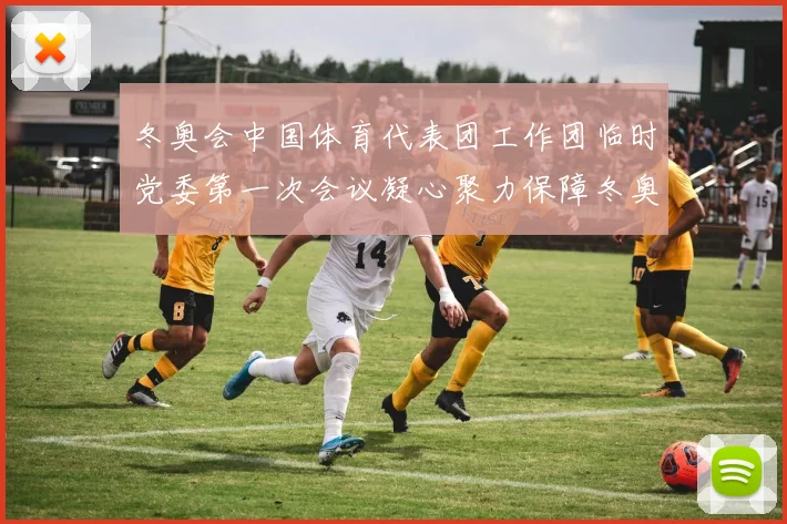 冬奥会中国体育代表团工作团临时党委第一次会议凝心聚力保障冬奥征程